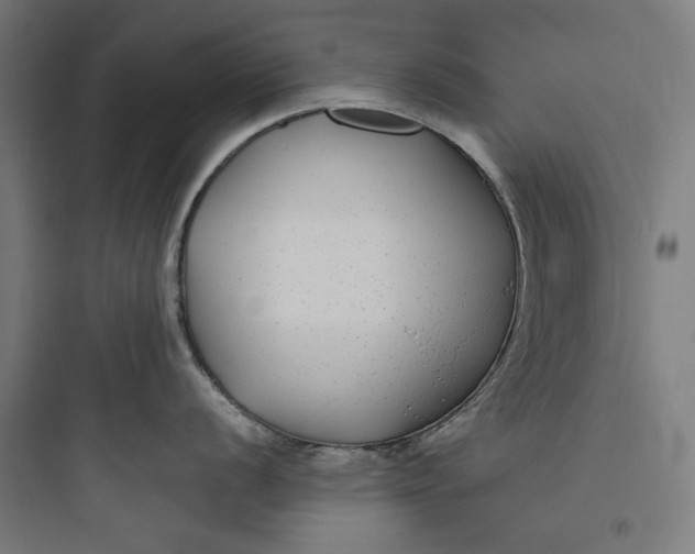 X0000093761056200711061106