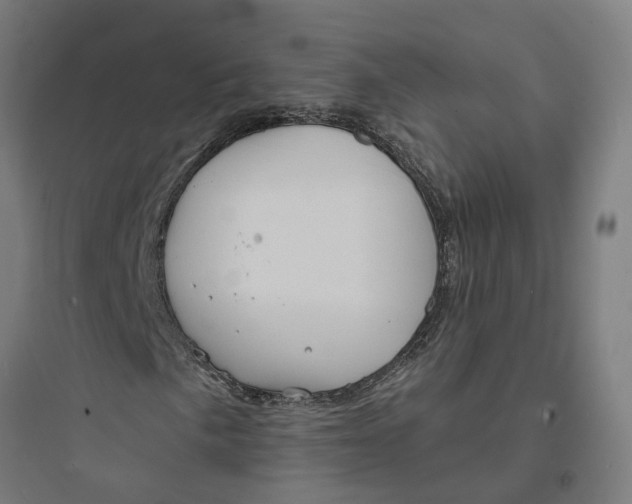 X0000093761057200711061106