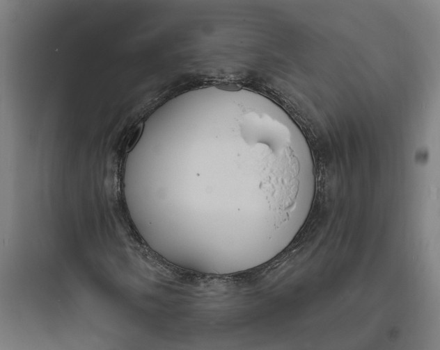 X0000093761058200711061106