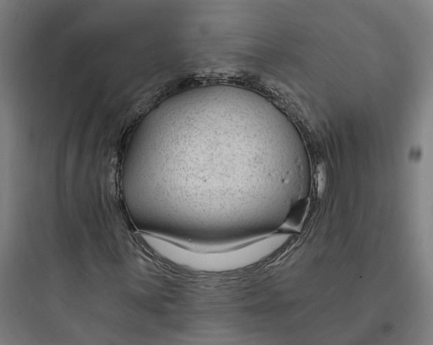 X0000093761059200711061106