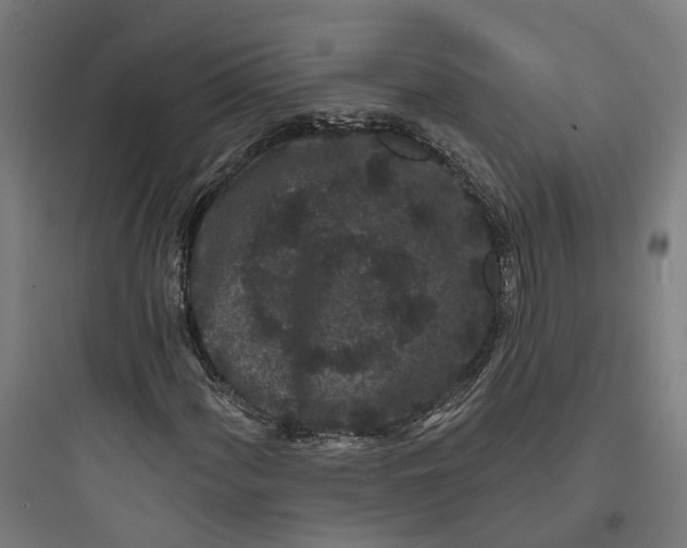 X0000093761060200711061106