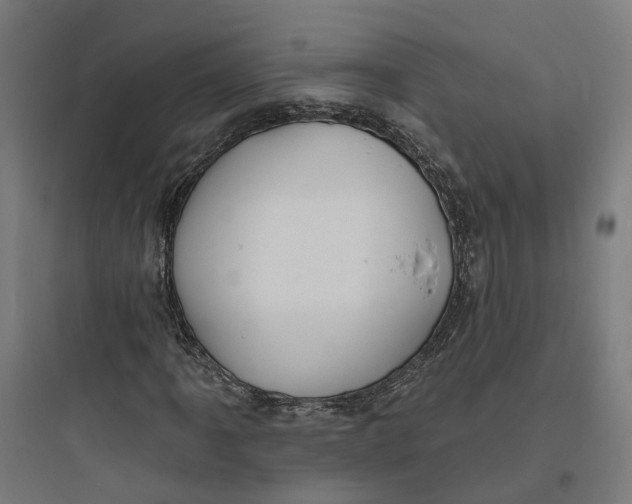 X0000093761061200711061106