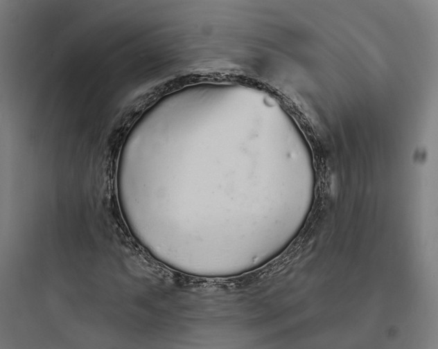 X0000093761063200711061106