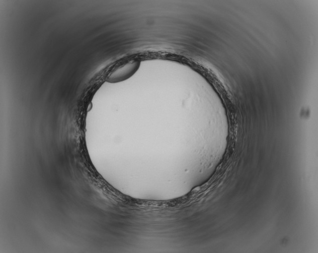 X0000093761064200711061106