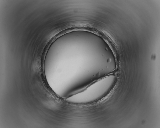 X0000093761065200711061106