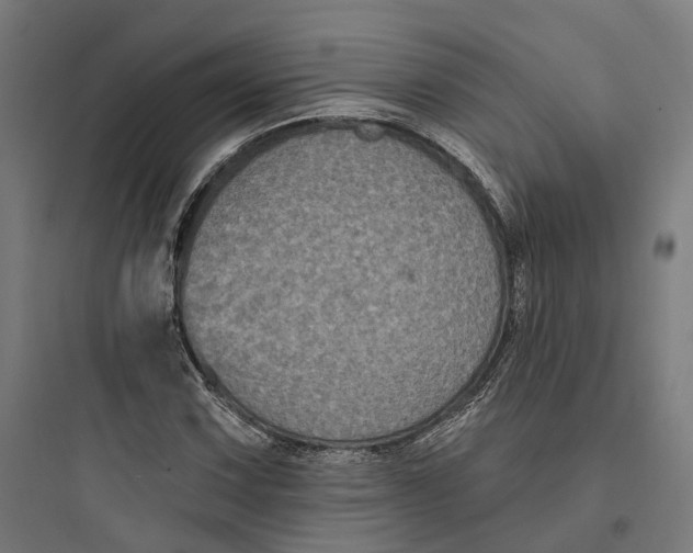 X0000093761067200711061105