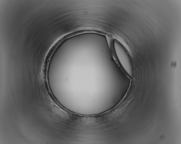 X0000093761068200711061105