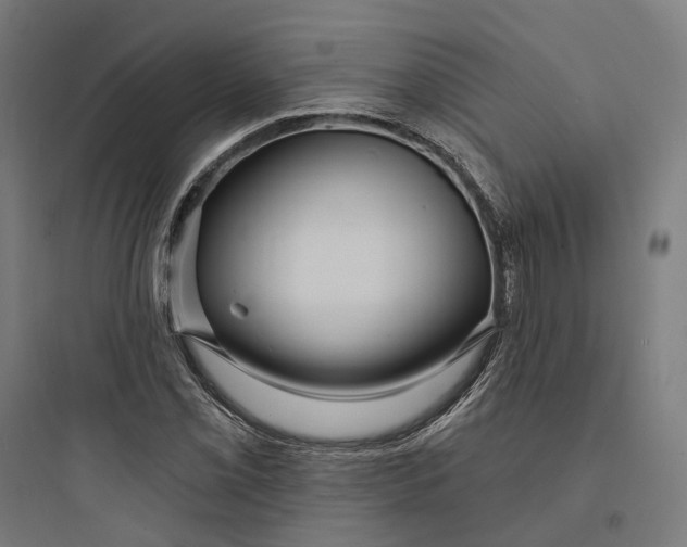 X0000093761069200711061105