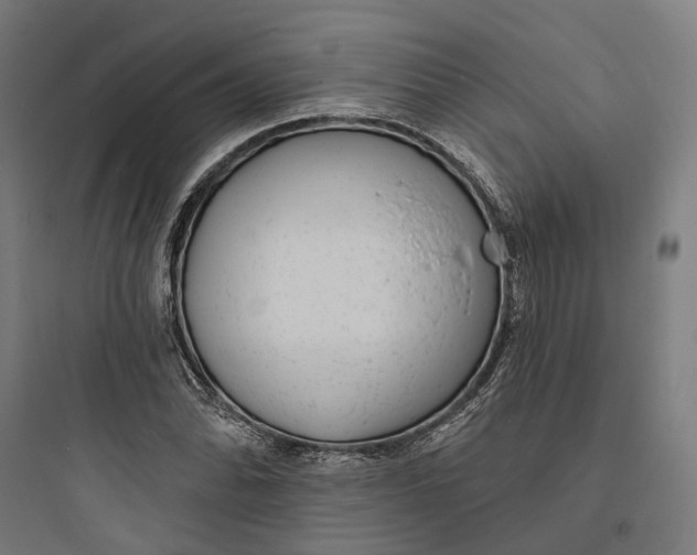 X0000093761070200711061105