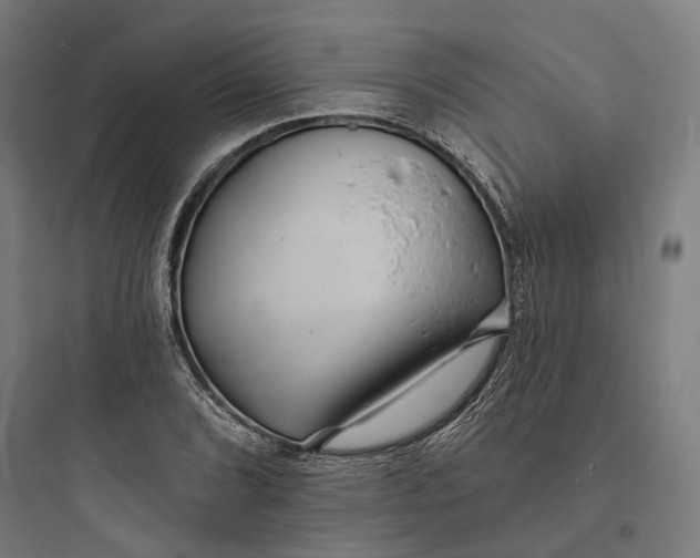 X0000093761072200711061105