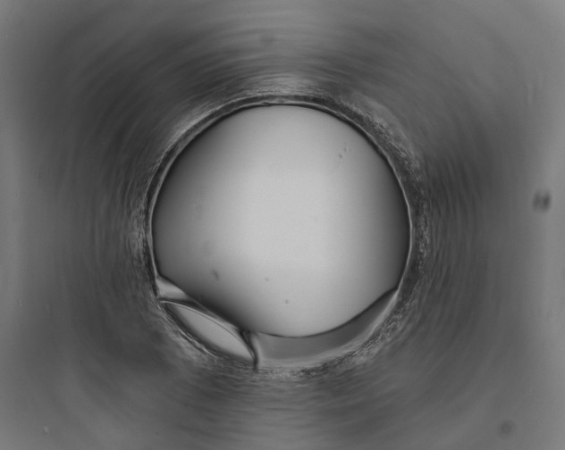 X0000093761073200711061105