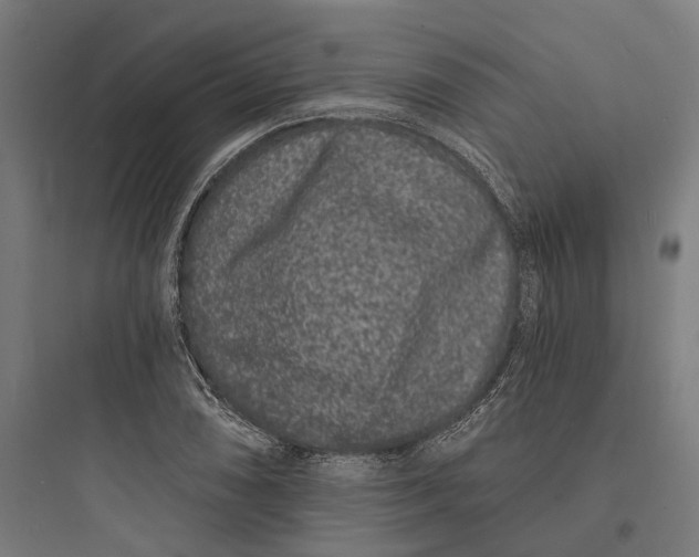 X0000093761074200711061105