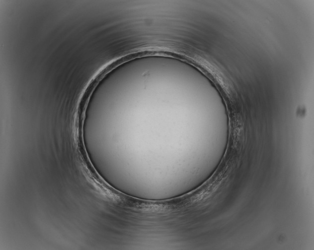 X0000093761076200711061105