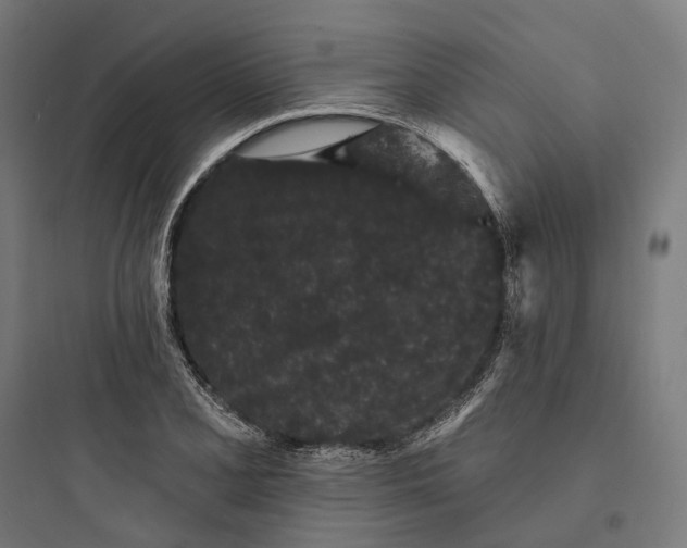 X0000093761077200711061105