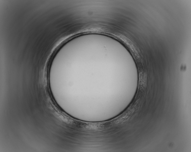 X0000093761078200711061105