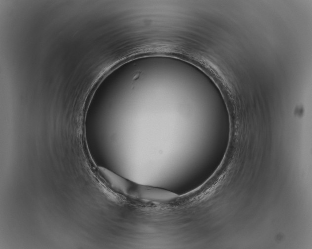 X0000093761081200711061105