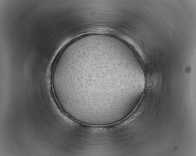 X0000093761083200711061105