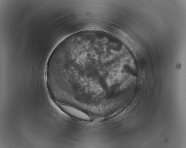 X0000093761084200711061105