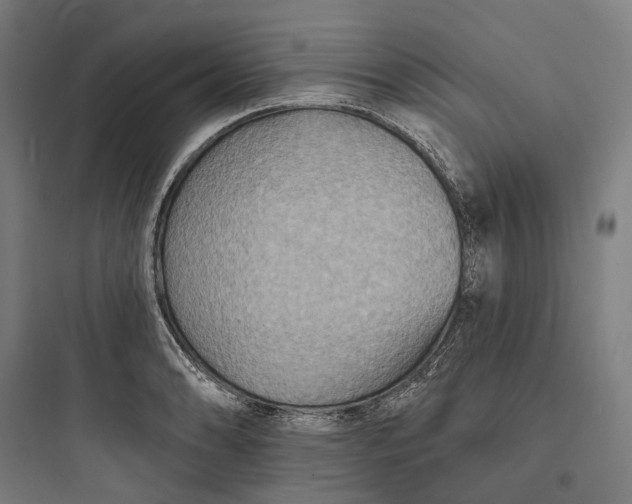 X0000093761086200711061105