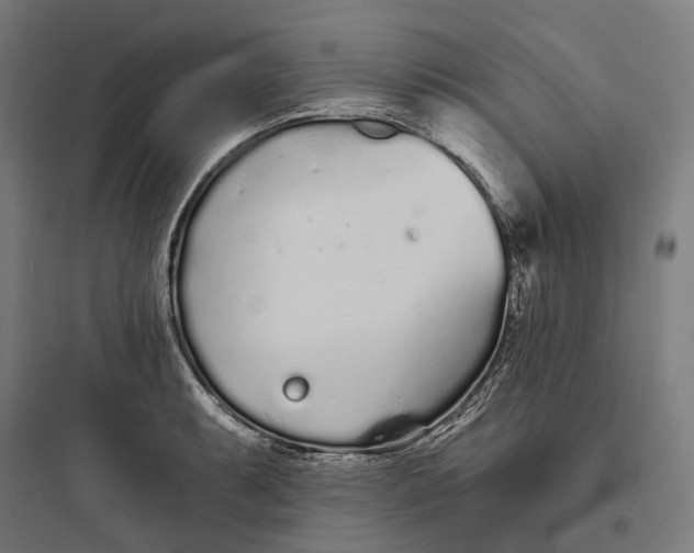 X0000093761087200711061105