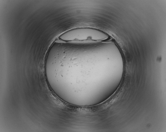 X0000093761089200711061105