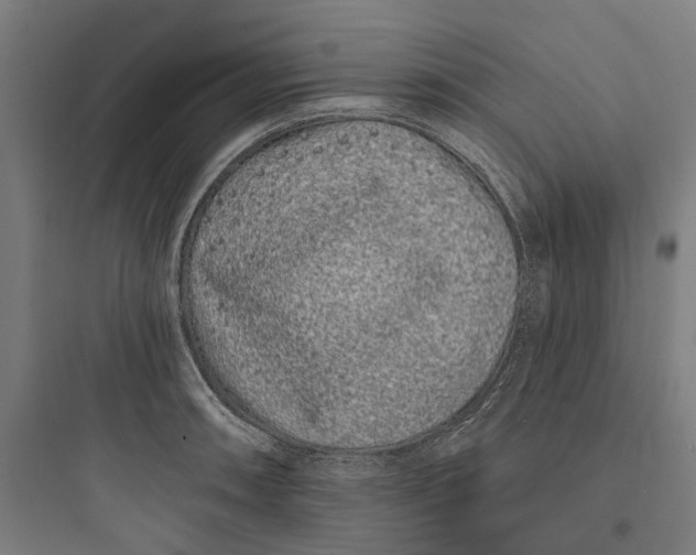 X0000093761090200711061105