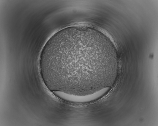 X0000093761091200711061105