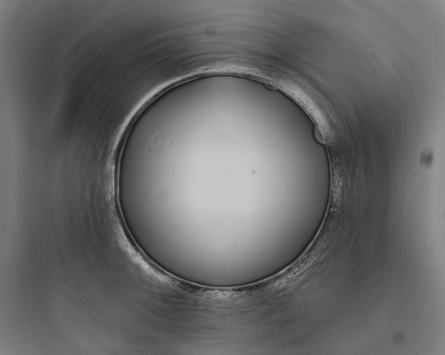 X0000093761092200711061105