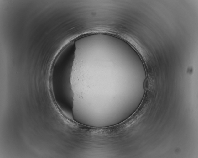 X0000093761093200711061105