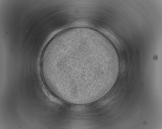 X0000093761094200711061105