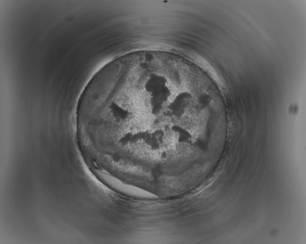 X0000093761095200711061105