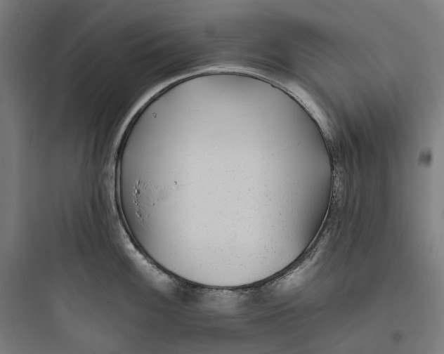 X0000093761100200711061105