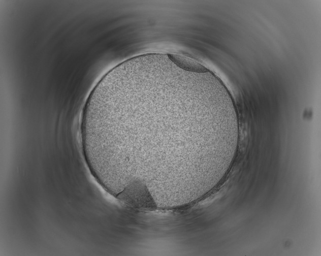 X0000093761103200711061105