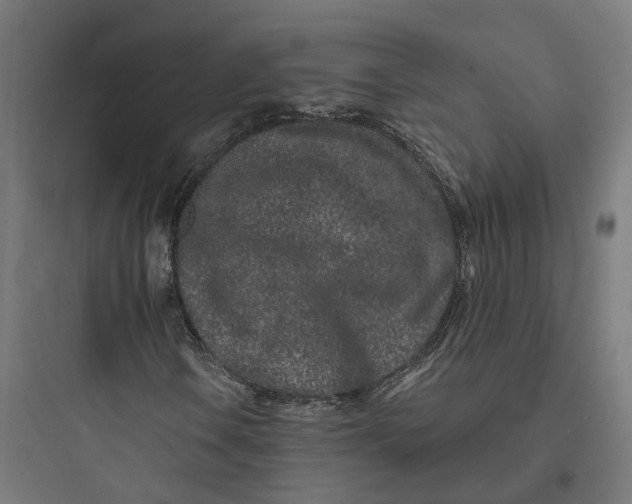 X0000093761106200711061104