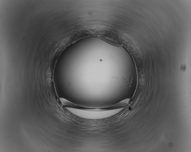 X0000093761108200711061104