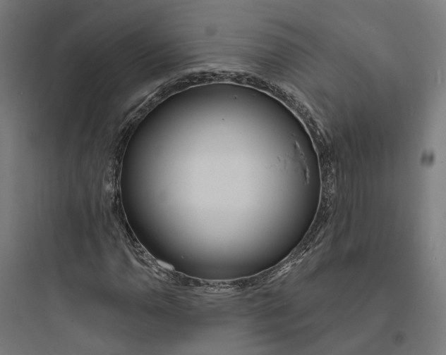 X0000093761110200711061104