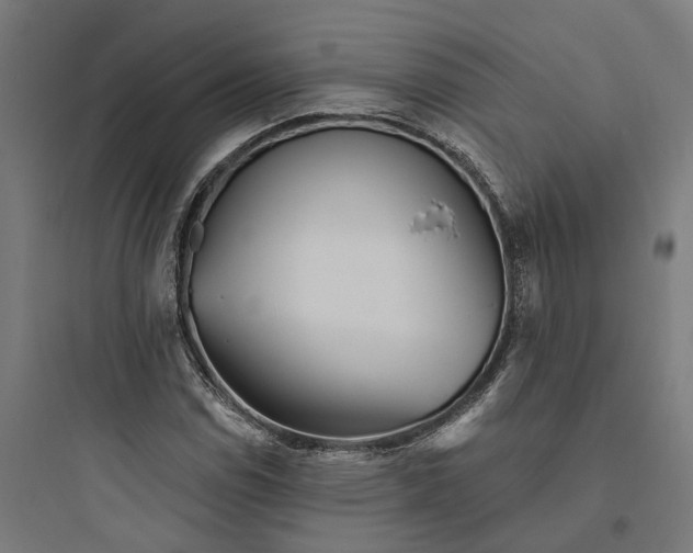 X0000093761114200711061104