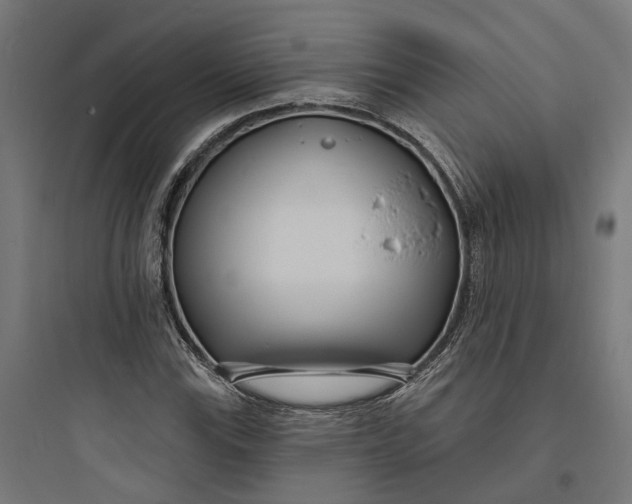 X0000093761115200711061104