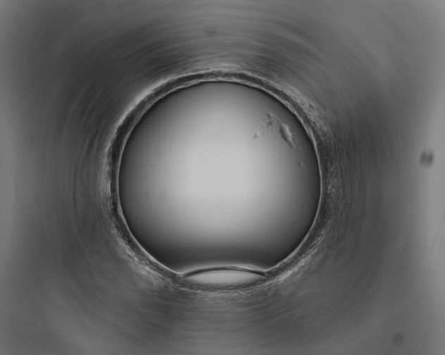 X0000093761118200711061104