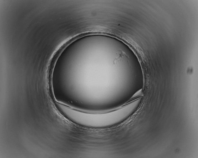 X0000093761120200711061104