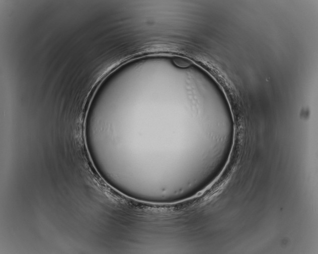 X0000093761121200711061104