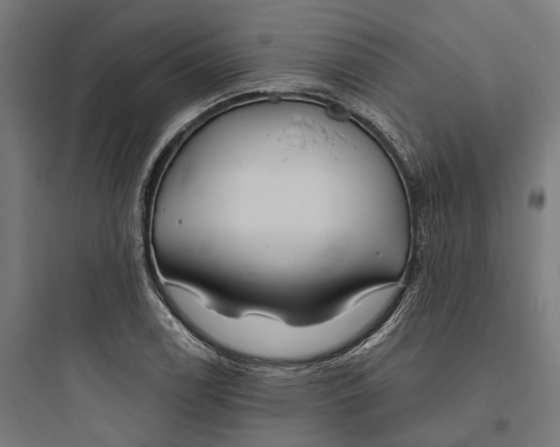 X0000093761122200711061104