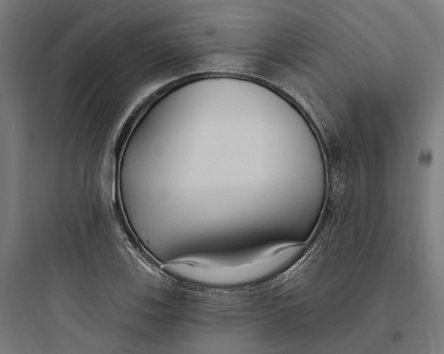 X0000093761123200711061104