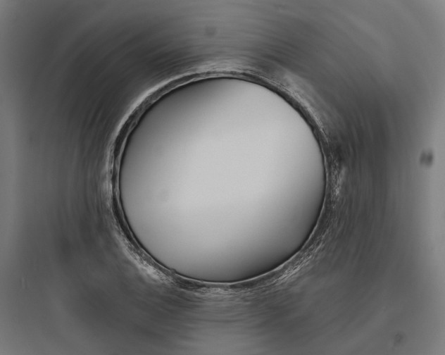 X0000093761124200711061104