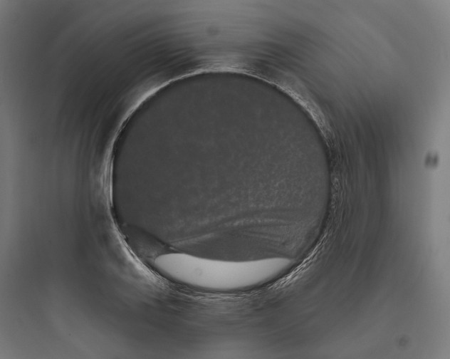 X0000093761127200711061104