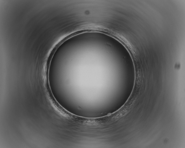 X0000093761128200711061104