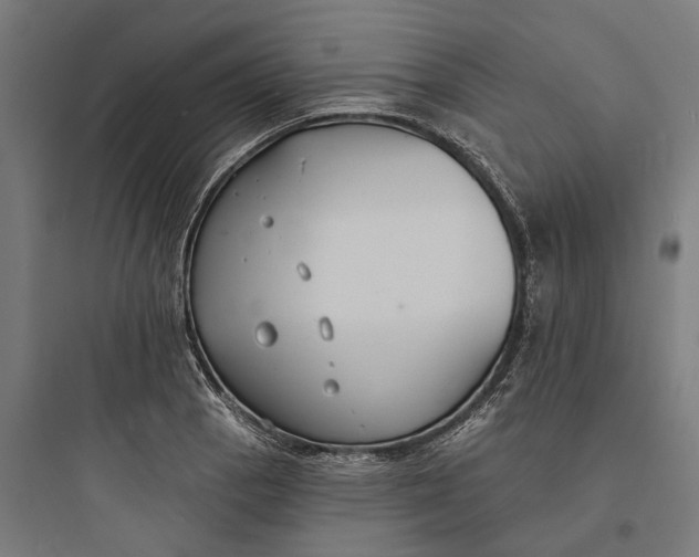 X0000093761129200711061104