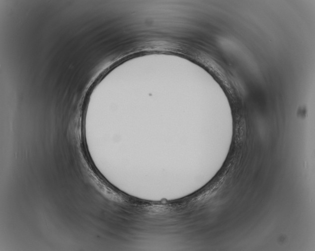 X0000093761130200711061104