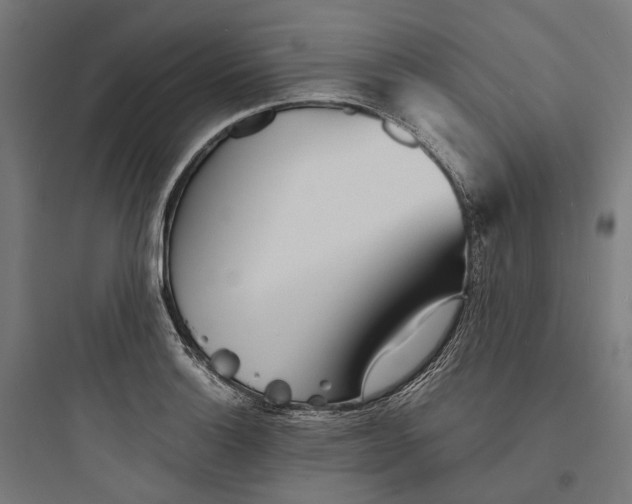 X0000093761132200711061105