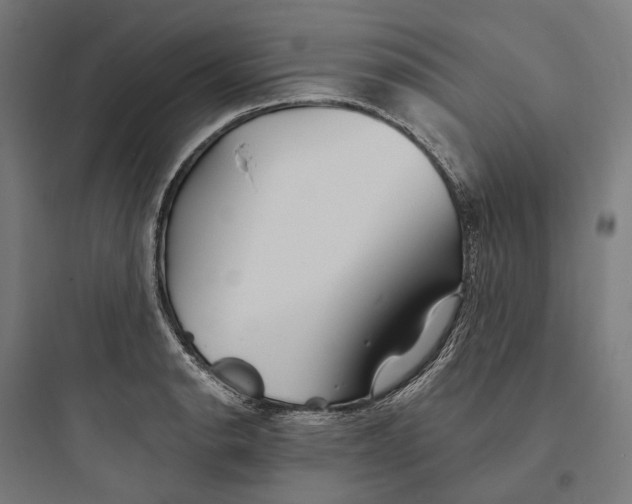 X0000093761134200711061105